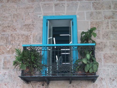 Place de la cath�drale