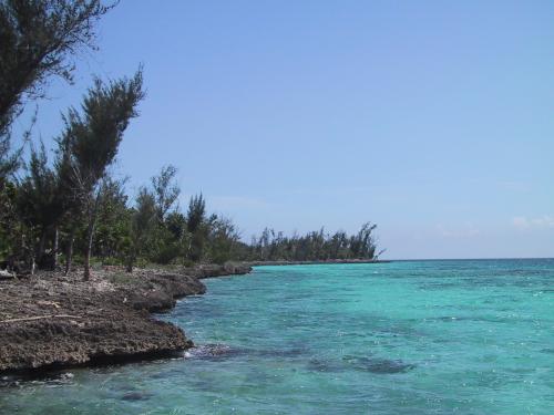 La baie des Cochons